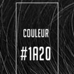 #1A20