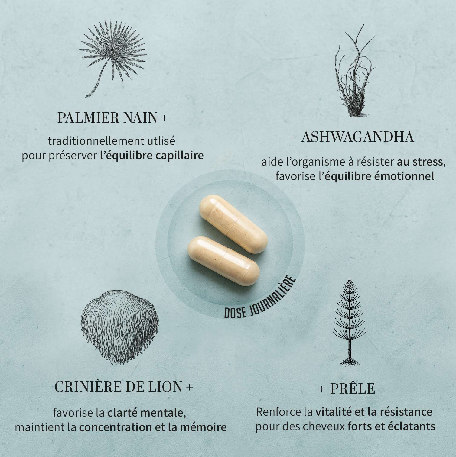 Cure 4 mois – Complément cheveux pour densifier et fortifier durablement 4 Cure 4 mois – Complément cheveux pour densifier et fortifier durablement – Image 2