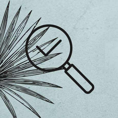 transparence complement alimentaire